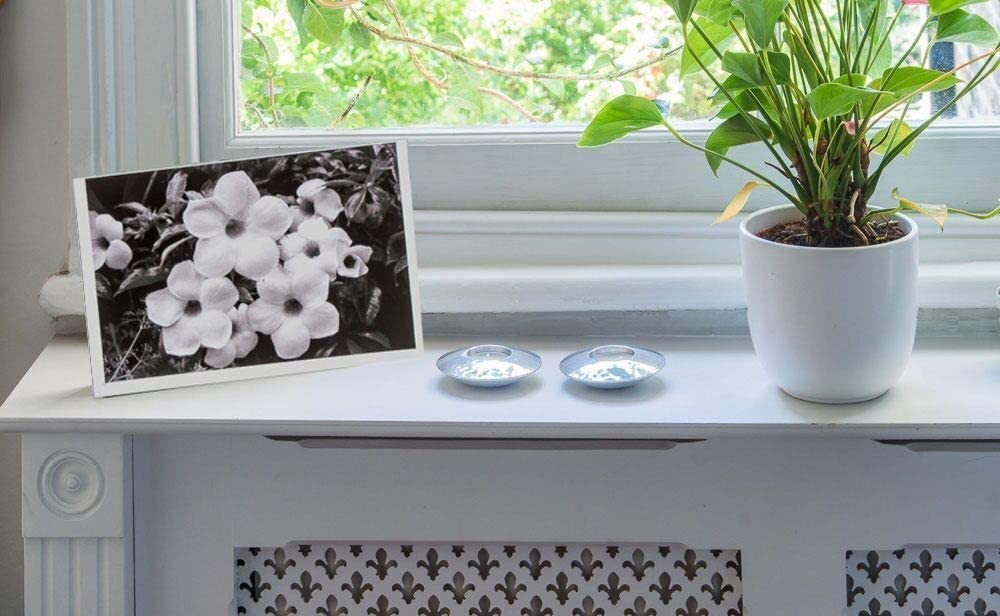 Inkjet Large Matte Photo Quality Printable Greeting Cards LTR 8.5x11" folding to 5.5 x 8.5" 53lbs 210gsm 9mil With Envelopes x 50 Sheets PPD-49-ENV