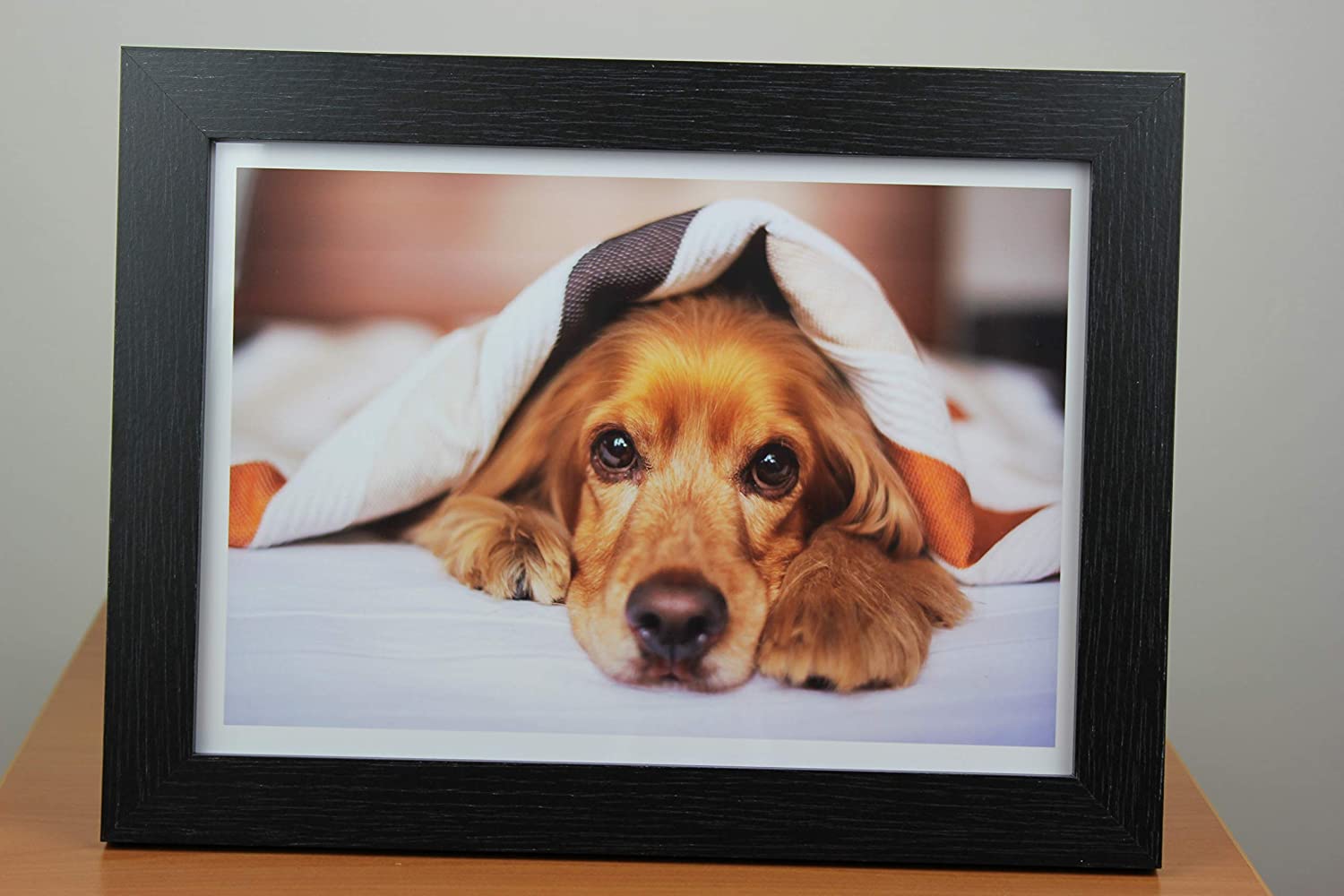 Inkjet Heavyweight Photo Paper Glossy 64lb. 240gsm 10.9mil 8.5 x 11" PPD-8